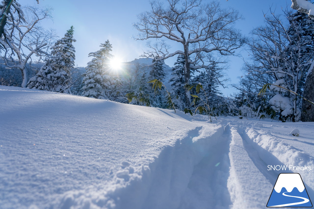 大雪山層雲峡・黒岳ロープウェイスキー場｜雪質も、景色も。やはり黒岳は別格。パウダースノーが舞う、北海道最高所にあるスキー場が営業開始！